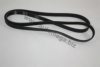 AUTOMEGA 30101330960 V-Ribbed Belts